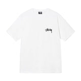 ステューシー STUSSY Tシャツ メンズ レディース 半袖 トップス ストリート並行輸入品 夏物 新作