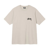 ステューシー STUSSY Tシャツ メンズ レディース 半袖 トップス ストリート[並行輸入品]