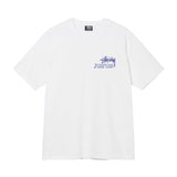 新作ステューシー STUSSY Tシャツ メンズ レディース 半袖 トップス ストリート並行輸入品