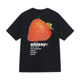 新作ステューシー STUSSY Tシャツ メンズ レディース 半袖 トップス ストリート並行輸入品