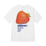 新作ステューシー STUSSY Tシャツ メンズ レディース 半袖 トップス ストリート並行輸入品