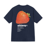 新作ステューシー STUSSY Tシャツ メンズ レディース 半袖 トップス ストリート並行輸入品