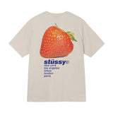 新作ステューシー STUSSY Tシャツ メンズ レディース 半袖 トップス ストリート並行輸入品